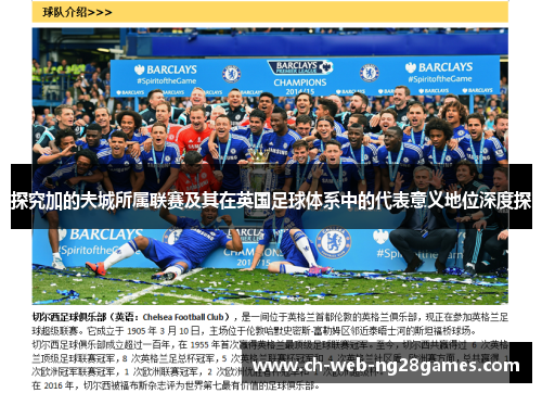 探究加的夫城所属联赛及其在英国足球体系中的代表意义地位深度探