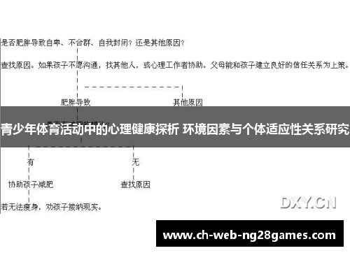 青少年体育活动中的心理健康探析 环境因素与个体适应性关系研究