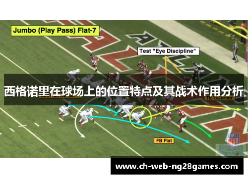 西格诺里在球场上的位置特点及其战术作用分析