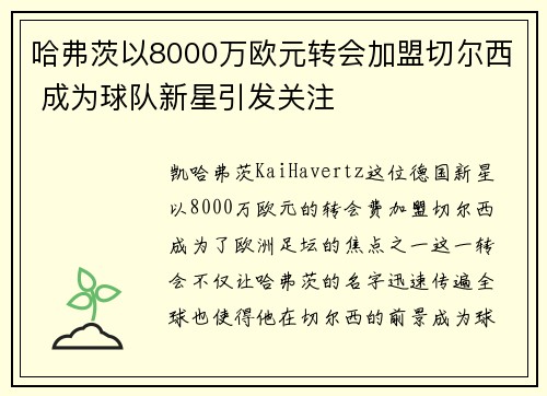 哈弗茨以8000万欧元转会加盟切尔西 成为球队新星引发关注