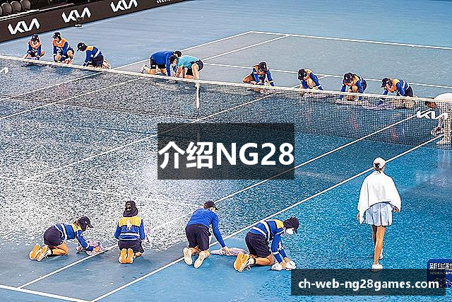 介绍NG28
